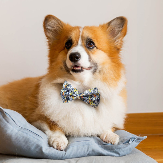 Pet Bow Ties Feature